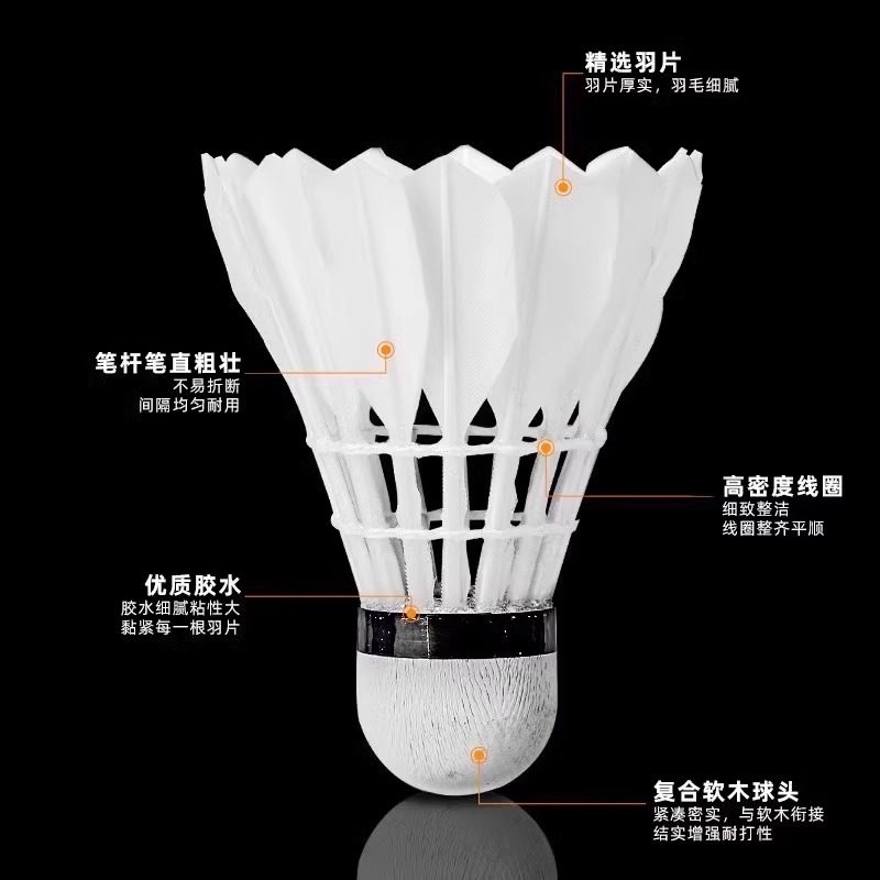 Lion Badminton Shuttlecock Goo - đánh giá và giá Feather Shuttlecock