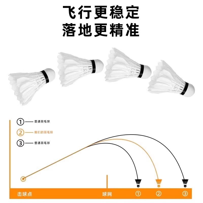 Lion Badminton Shuttlecock Goo - đánh giá và giá Feather Shuttlecock