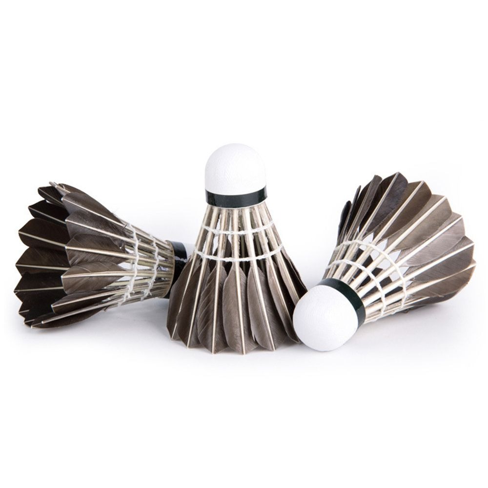 3/6/12Pcs Household Sport Trai - đánh giá và giá Feather Shuttlecock