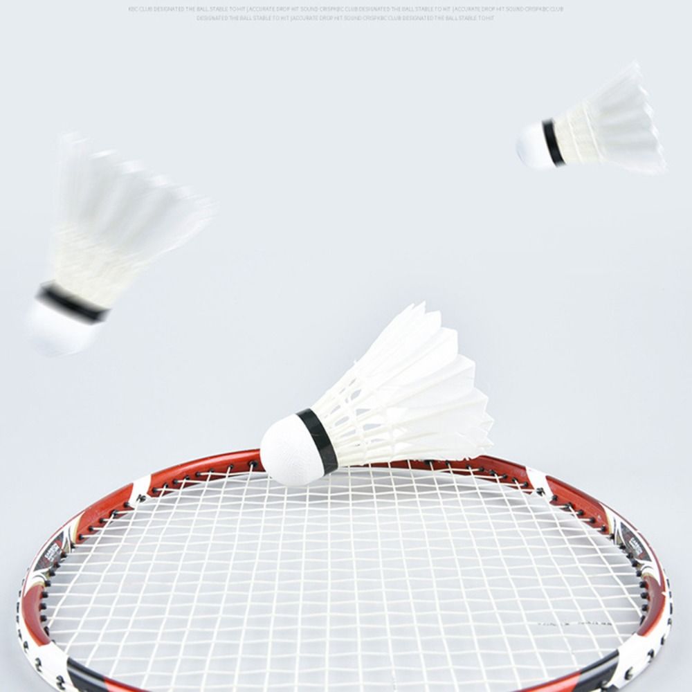 3/6/12Pcs New White Badminton  - đánh giá và giá Feather Shuttlecock
