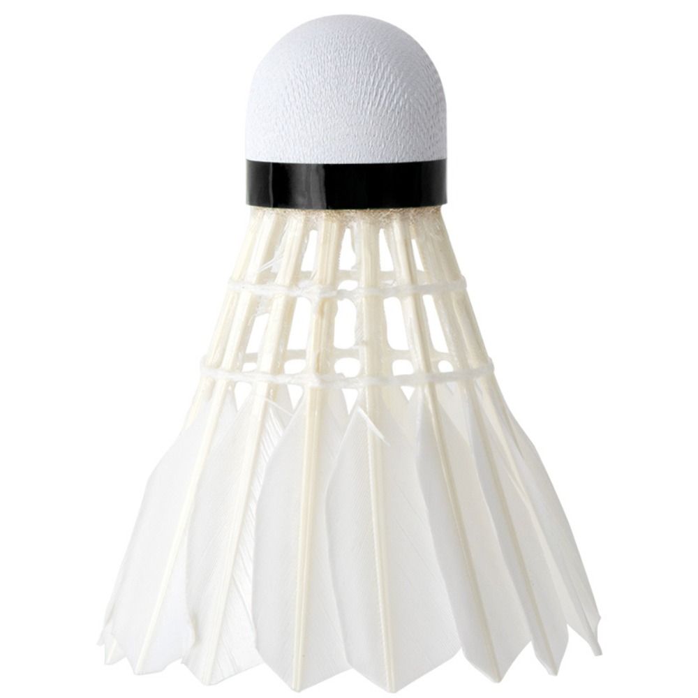 12Pcs Professional White Goose - đánh giá và giá Feather Shuttlecock