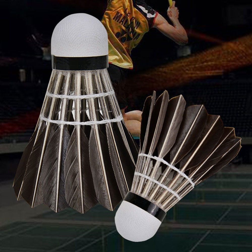 3/6/12Pcs Accessories Stable S - đánh giá và giá Feather Shuttlecock